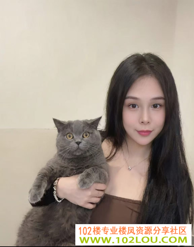 02f79fa1-4219-4440-b104-9986d80c8dc3.png